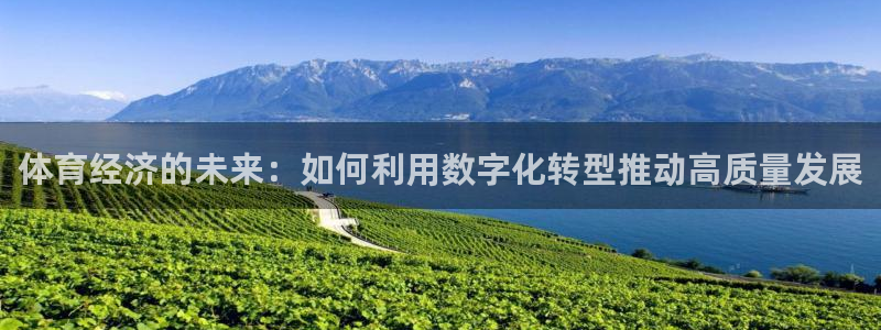 球王会体育：体育经济的未来：如何利用数字化转型推动高质量发展