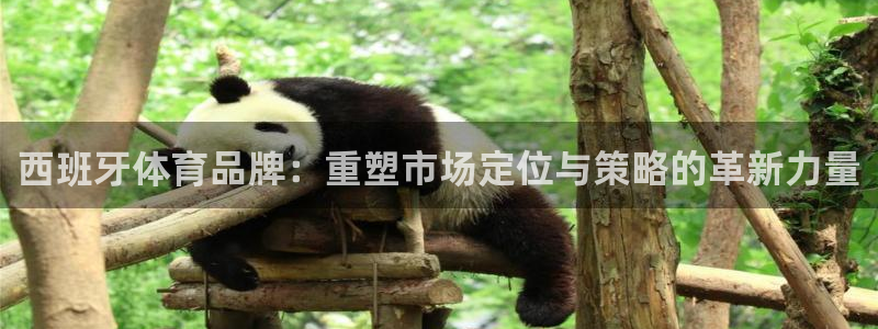 球王会体育：西班牙体育品牌：重塑市场定位与策略的革新力量