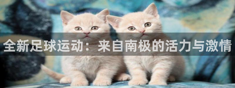 球王会体育：全新足球运动：来自南极的活力与激情
