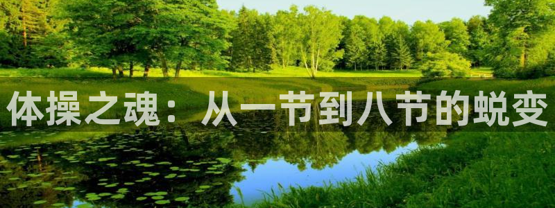 球王会体育：体操之魂：从一节到八节的蜕变