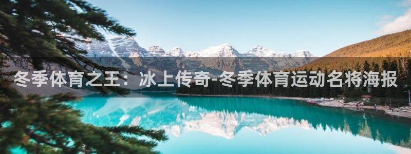 球王会体育：冬季体育之王：冰上传奇-冬季体育运动名将海报