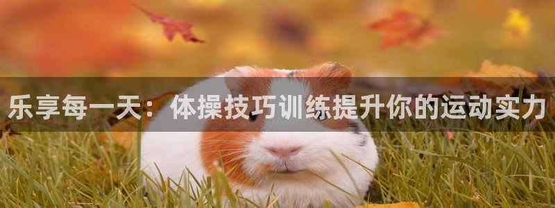 球王会体育：乐享每一天：体操技巧训练提升你的运动实力