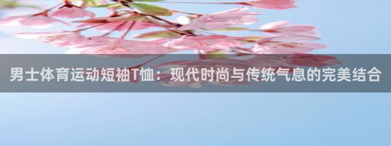 球王会体育：男士体育运动短袖T恤：现代时尚与传统气息的完美结合