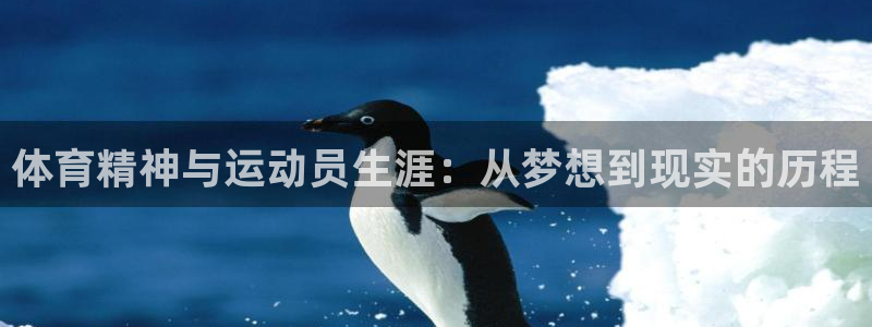 球王会体育：体育精神与运动员生涯：从梦想到现实的历程