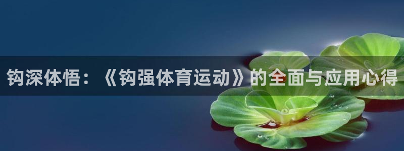 球王会体育：钩深体悟：《钩强体育运动》的全面与应用心得