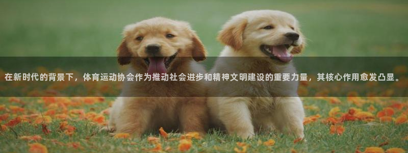 球王会体育：在新时代的背景下，体育运动协会作为推动社会进步和精神文明建设的重要力量，其核心作用愈发凸显。