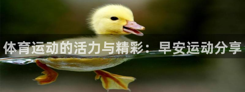 球王会体育：体育运动的活力与精彩：早安运动分享
